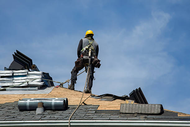 Professional Gutter Installation technician working in Lake Helen, FL